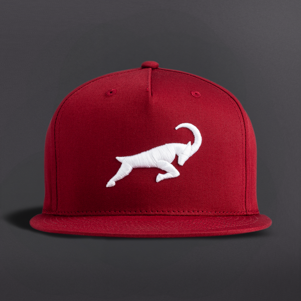 G.O.A.T. Icon Hat - Multiple Colorways