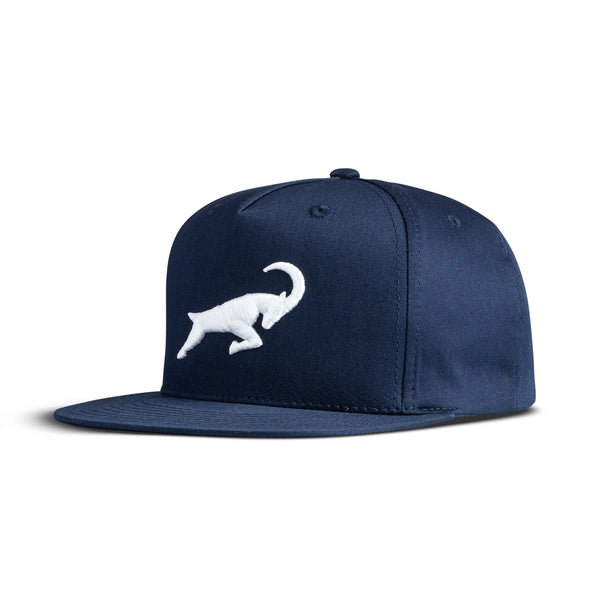 G.O.A.T. Icon Hat - Multiple Colorways