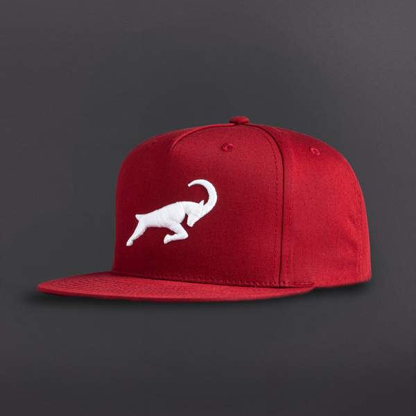 G.O.A.T. Icon Hat - Multiple Colorways