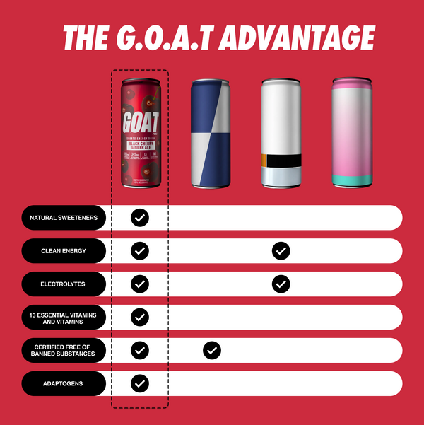 Black Cherry Ginger Ale (12 PACK)