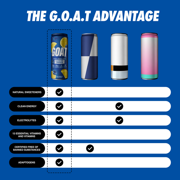 Blueberry Lemonade (12 PACK)