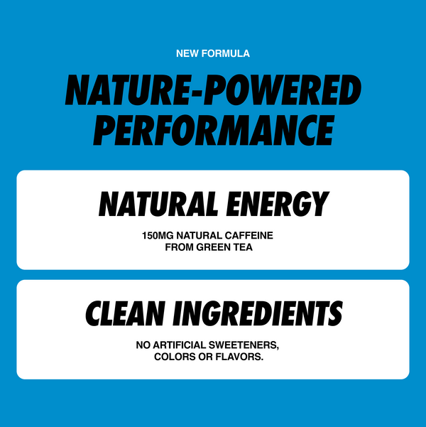 Gummy Bear (12 PACK)