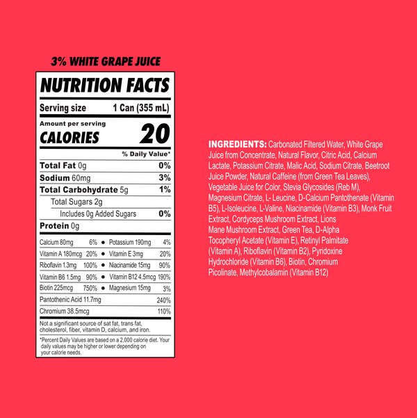 Watermelon Fruit Punch (12 PACK)